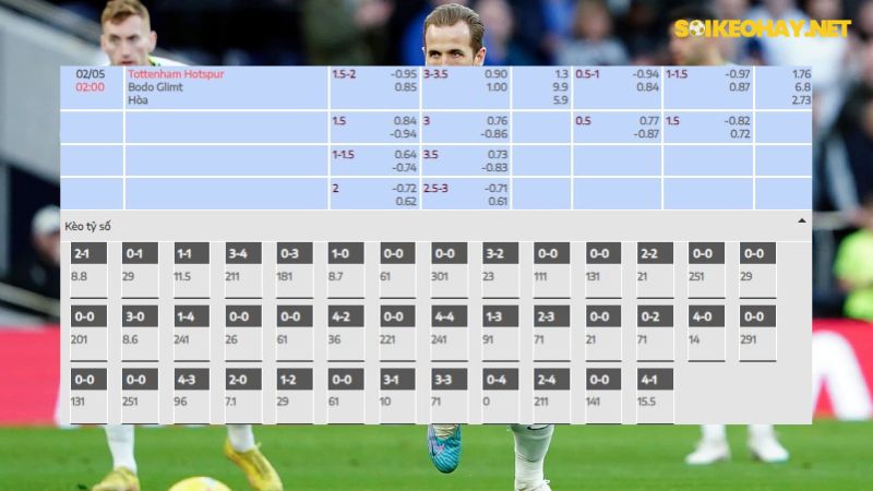 Tottenham - Bodo Glimt