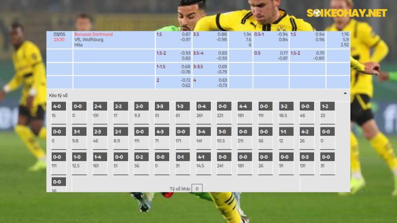 Borussia Dortmund - VfL Wolfsburg